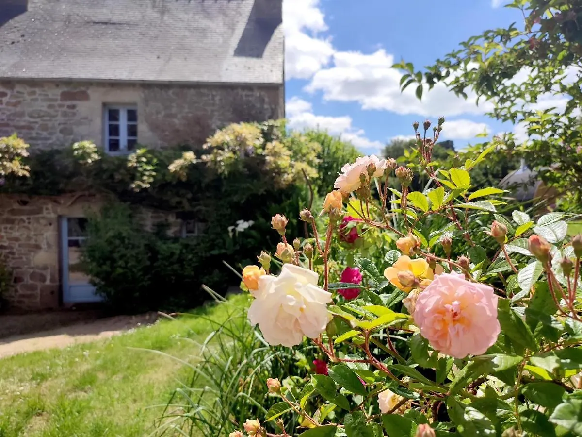 Guest house La Tisserande : Maison D'Hotes Creative & Ecologique Saint-Thegonnec Loc-Eguiner France