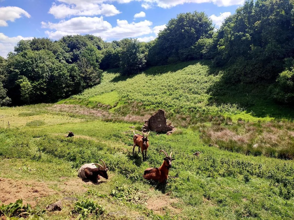 La Tisserande : Maison D'Hotes Creative & Ecologique Saint-Thegonnec Loc-Eguiner Guest house